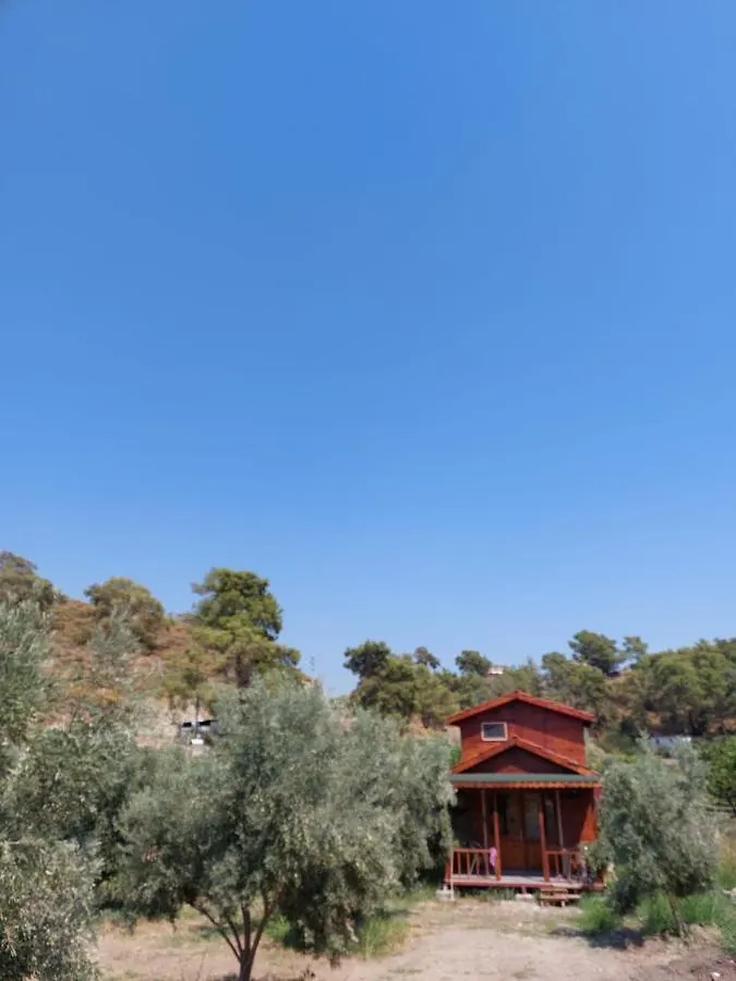 Olive Garden Bungalow Fethiye