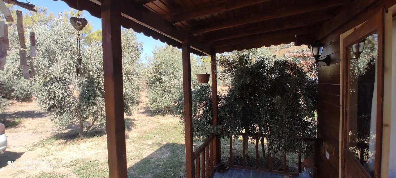 Holiday home Olive Garden Bungalow Fethiye