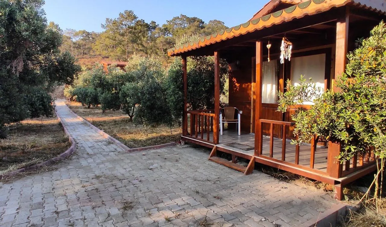 Olive Garden Bungalow Fethiye Turkey