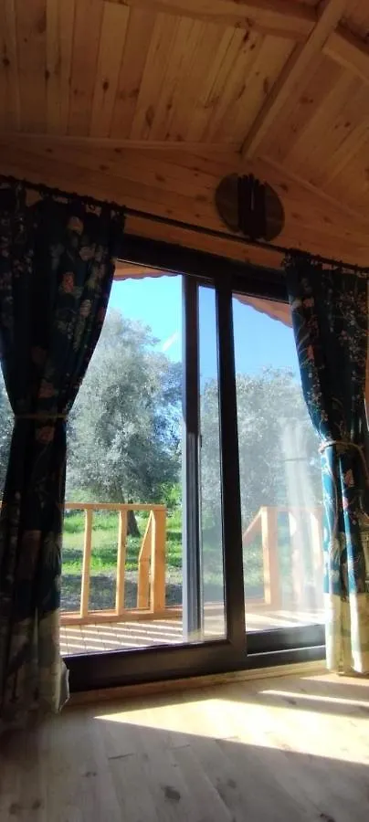 Holiday home Olive Garden Bungalow Fethiye Turkey